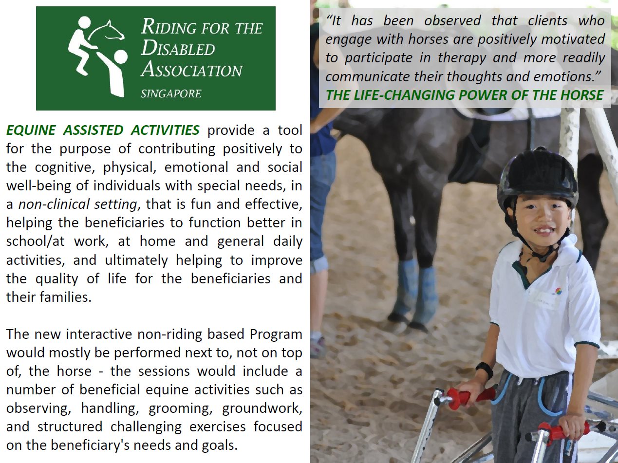 Equine Assisted Activity - unmounted