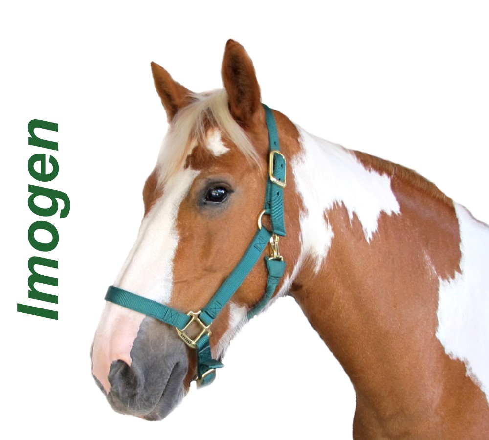 Headshots - Sized for Website Imogen