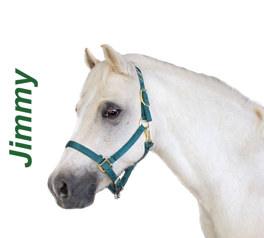 Headshots - Sized for Website Jimmy