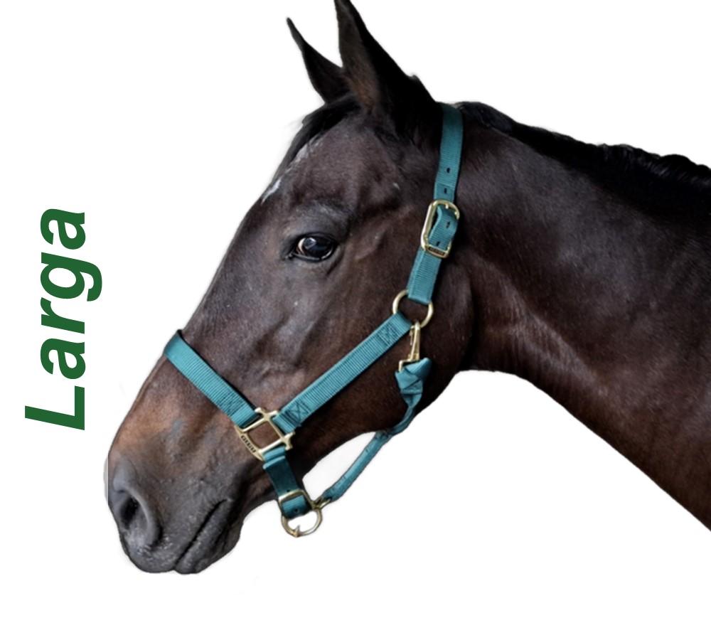 Headshots - Sized for Website Larga